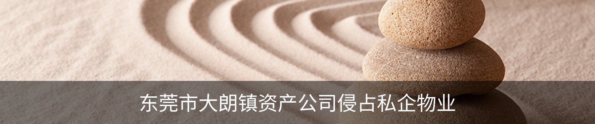 新闻动态