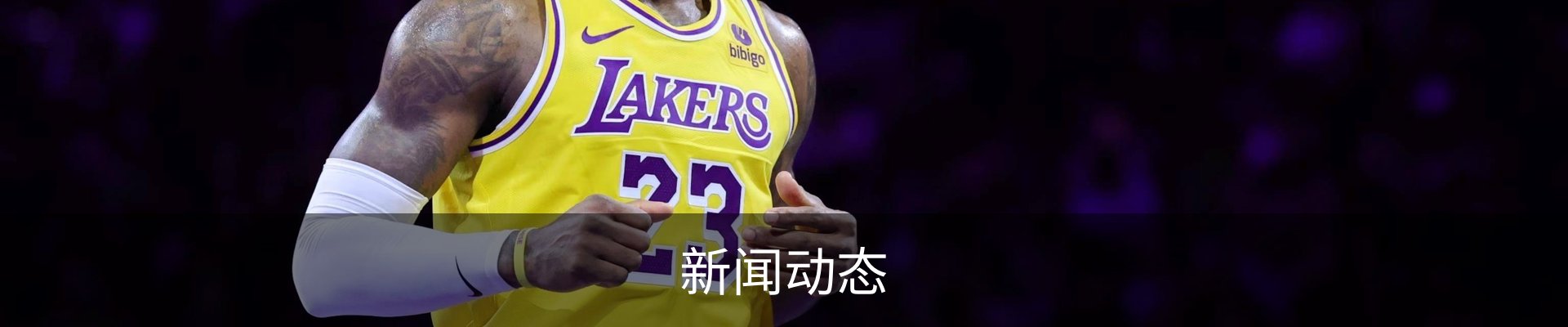 新闻动态