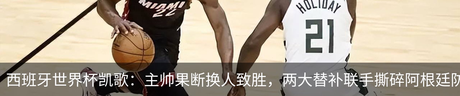 新闻动态